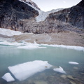 20110812 lac et glacier Cavell-2
